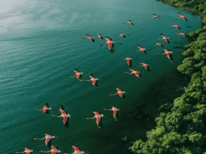 Picture 10 Days Tanzania Safari 03