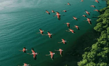 Picture 10 Days Tanzania Safari 03