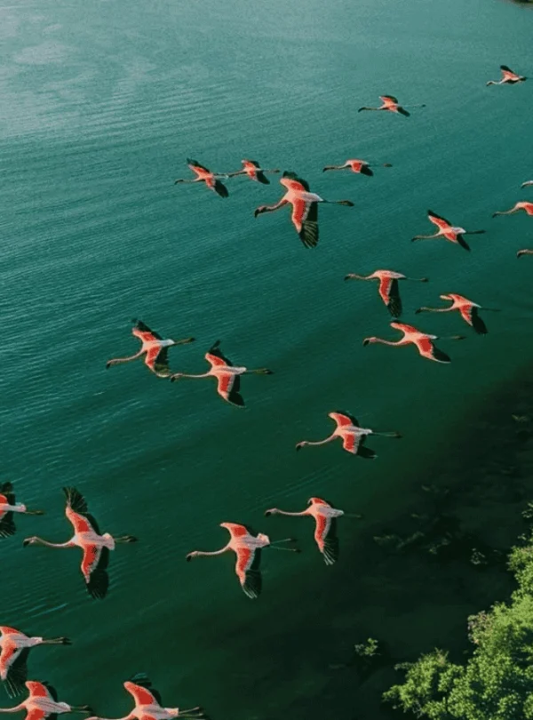 Picture 10 Days Tanzania Safari 03