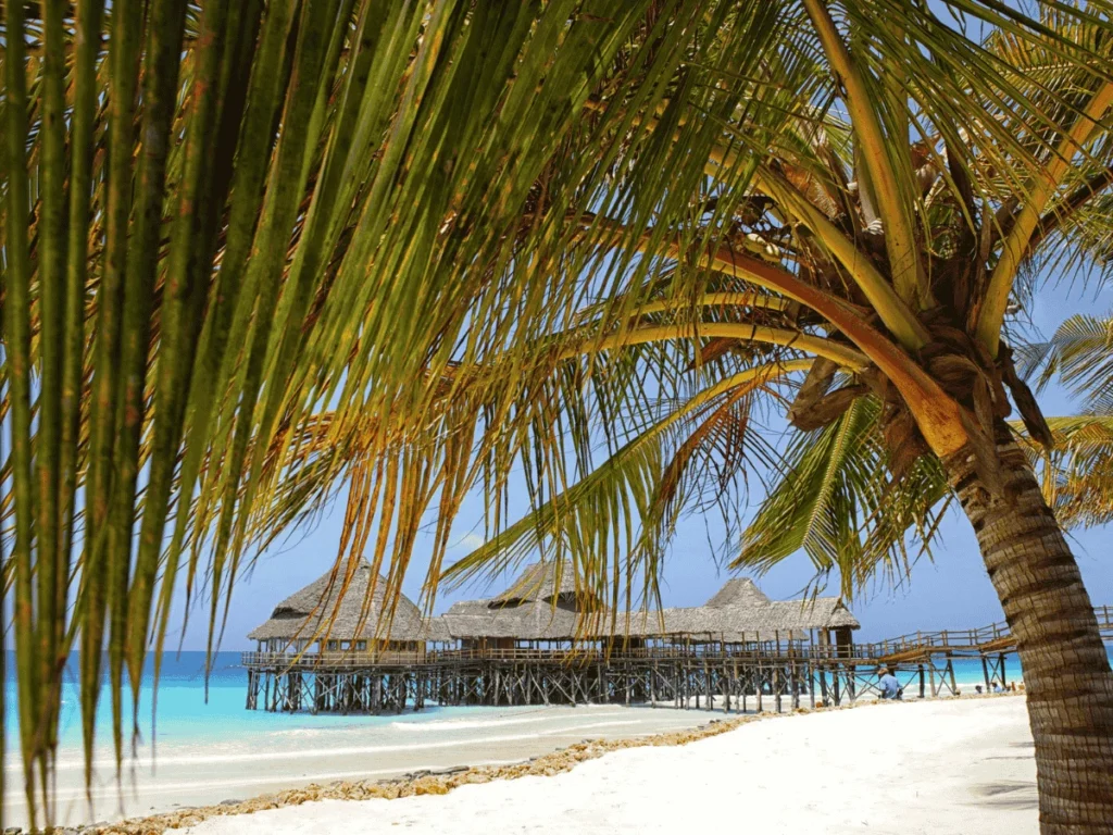 Picture 5 Days Zanzibar Islands Safari Nungwi 02