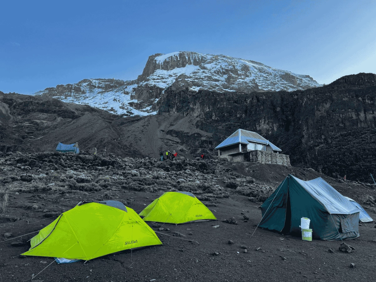 Picture 6 Days Kilimanjaro Climbing, Marangu Route 01