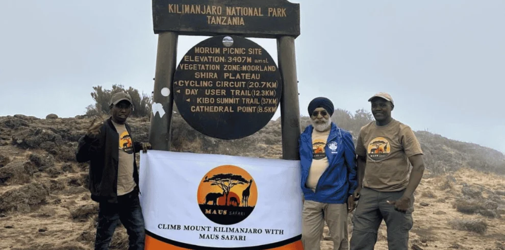Picture 8 Days Kilimanjaro Lemosho Route 01