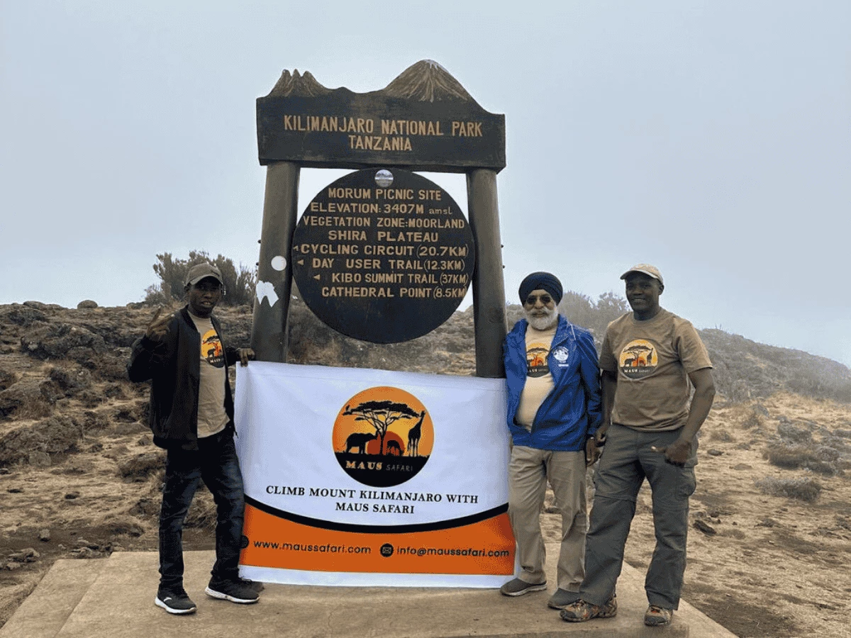 Picture 8 Days Kilimanjaro Lemosho Route 01