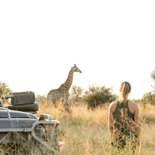 A woman, a tourist, observes a giraffe during a safari.