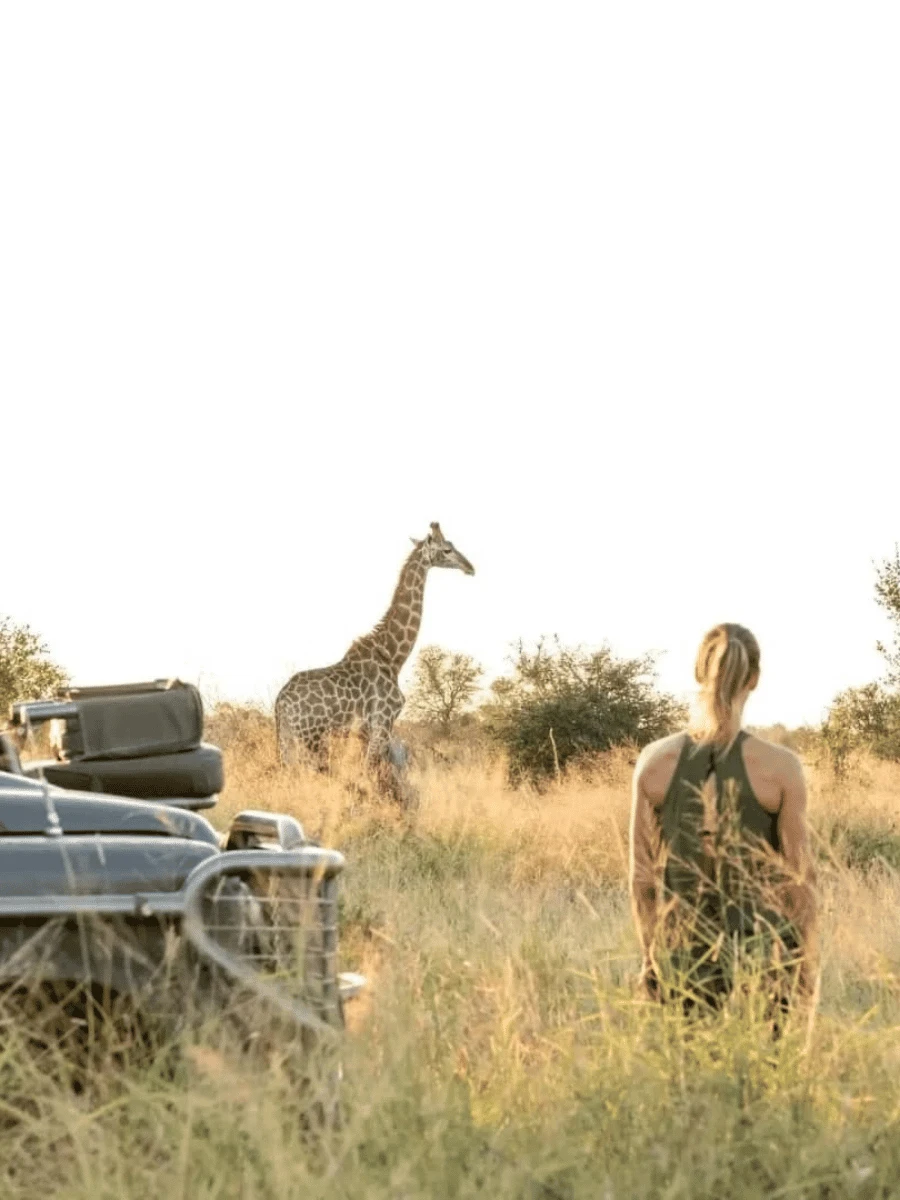 A woman, a tourist, observes a giraffe during a safari.