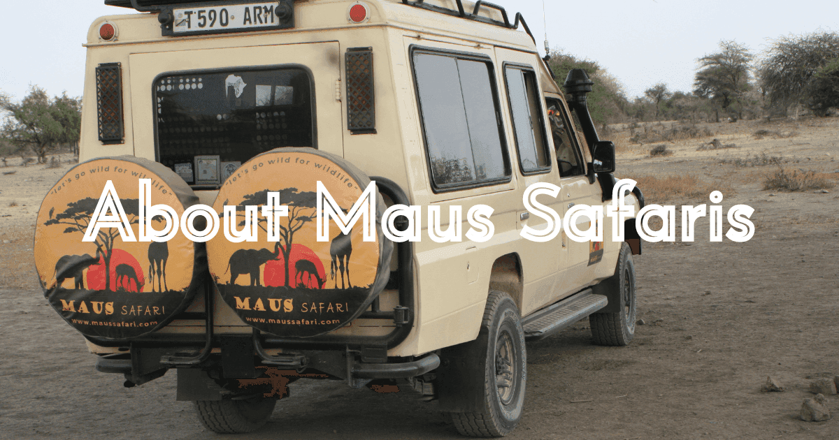 Picture About Maus Safari Company