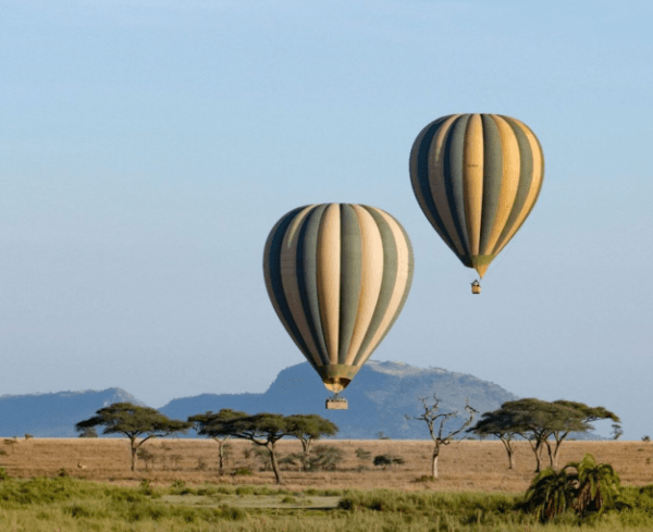 Activity Balloon Safaris with Maus Safari