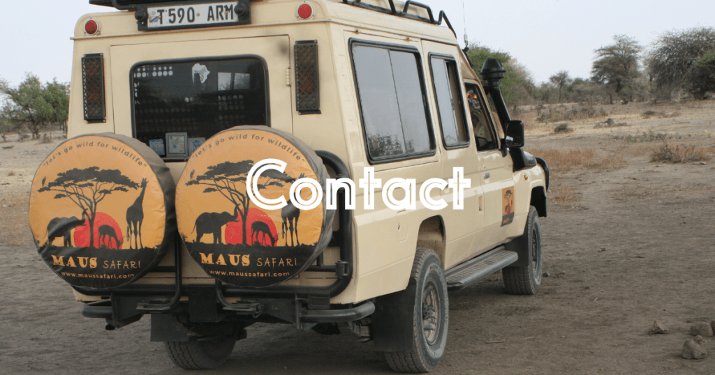 Contact us, Maus Safari Company
