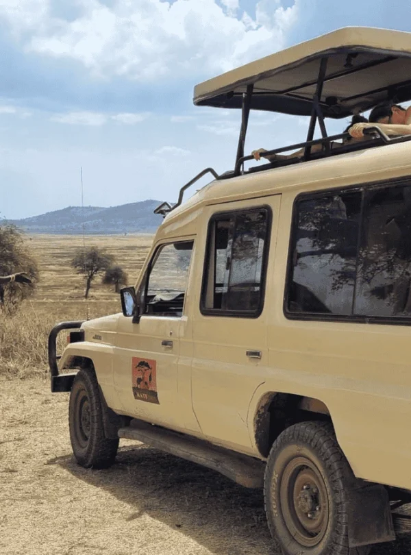 Picture 4 Days Tanzania Safari 02