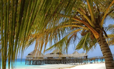 Picture 4 Days Tour Best of Zanzibar 03