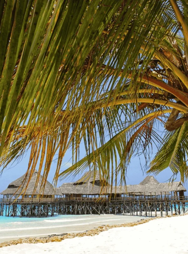 Picture 4 Days Tour Best of Zanzibar 03