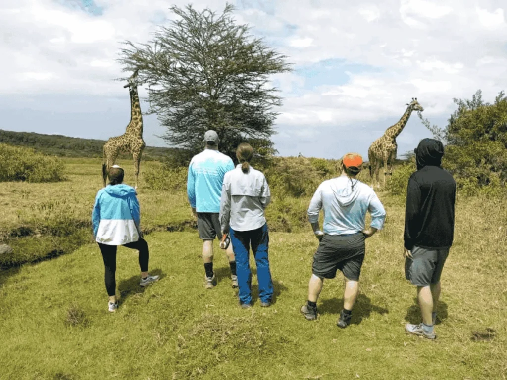 Picture Daytrip Arusha National Park 01
