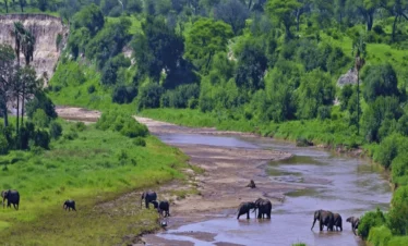 Picture One Day Trip Tarangire NP 02