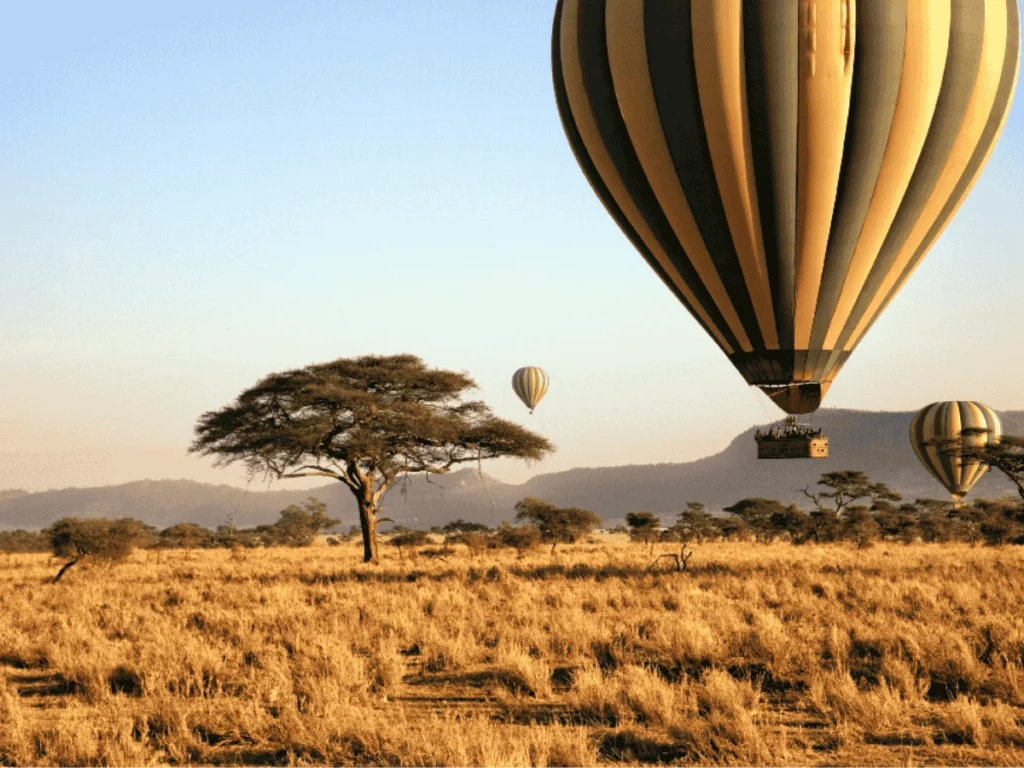 Picture Serengeti Hot Air Balloon Safari 01
