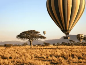 Picture Serengeti Hot Air Balloon Safari 01