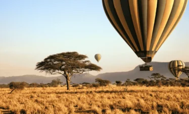 Picture Serengeti Hot Air Balloon Safari 01