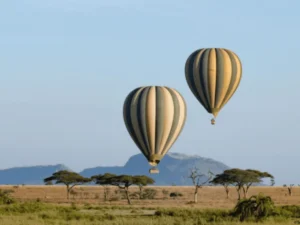 Picture Serengeti Hot Air Balloon Safari 02