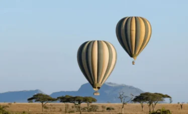 Picture Serengeti Hot Air Balloon Safari 02