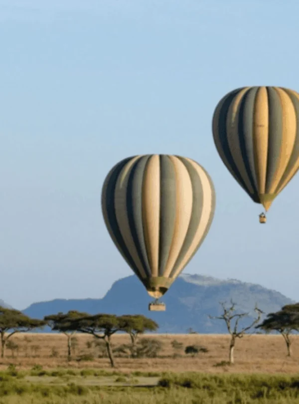 Picture Serengeti Hot Air Balloon Safari 02