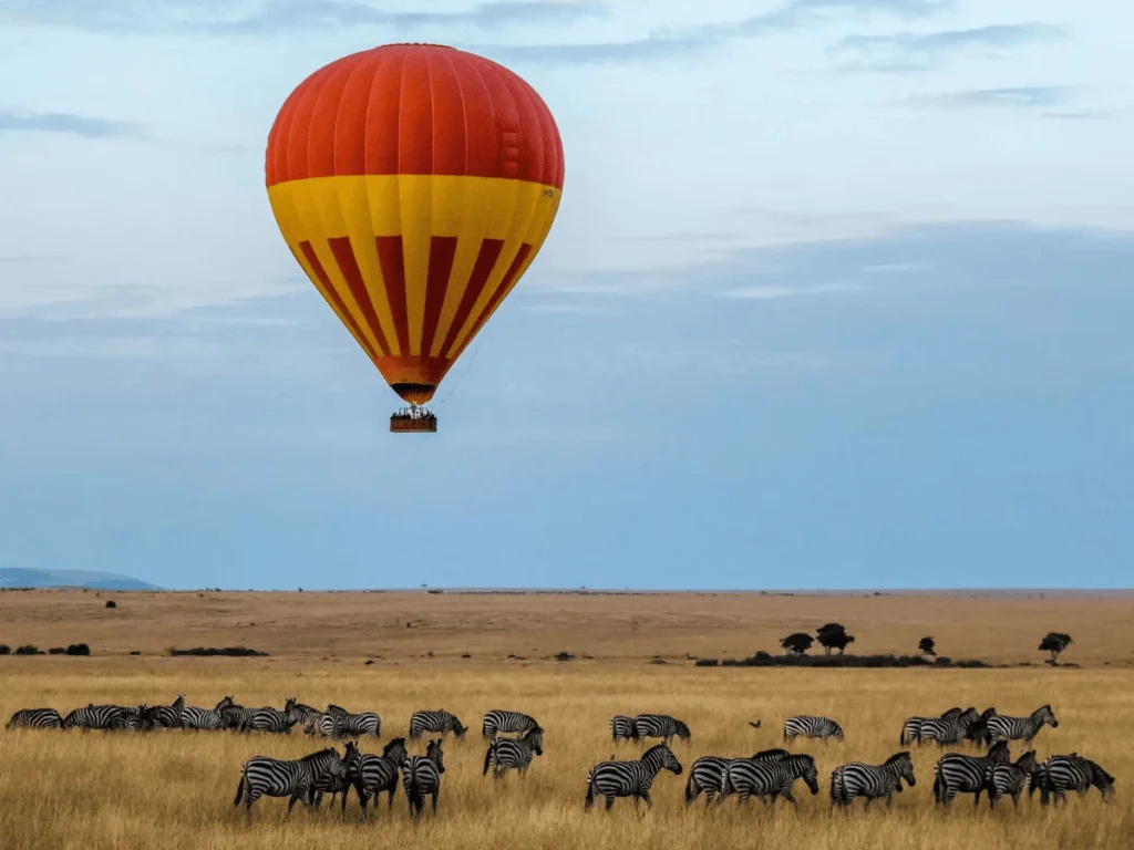 Picture Serengeti Hot Air Balloon Safari 03