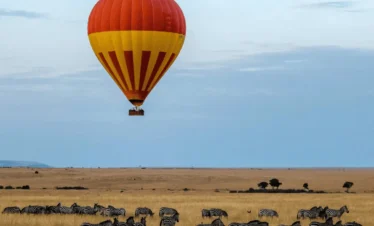 Picture Serengeti Hot Air Balloon Safari 03