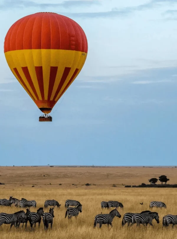 Picture Serengeti Hot Air Balloon Safari 03