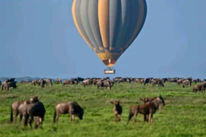 Picture Serengeti Hot Air Balloon Safari