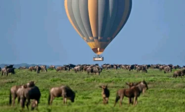 Picture Serengeti Hot Air Balloon Safari