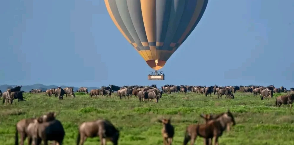 Picture Serengeti Hot Air Balloon Safari