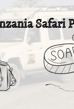 Ultimate Tanzania Safari Packing List and Checklist | Wildlife and Trekking Adventures