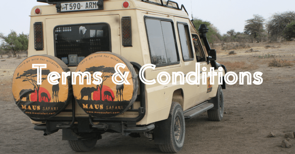 Picture Terms and Conditions Maus Safaris