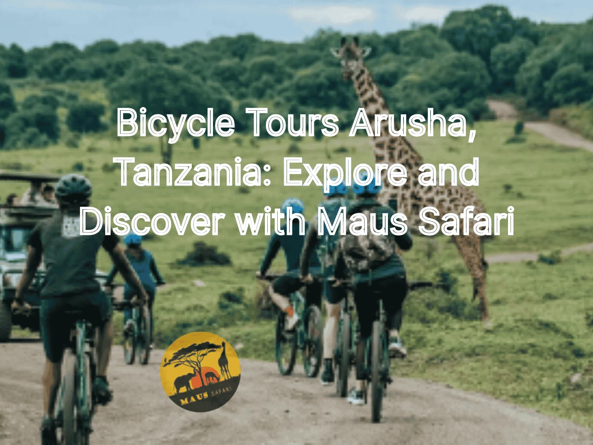 Bicycle tours in Arusha, Tanzania, showcasing exploration and discovery with Maus Safari.