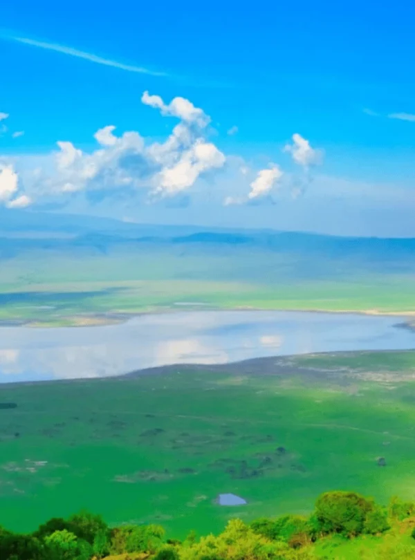 Picture 2 Days Tarangire Ngorongoro Safari 03