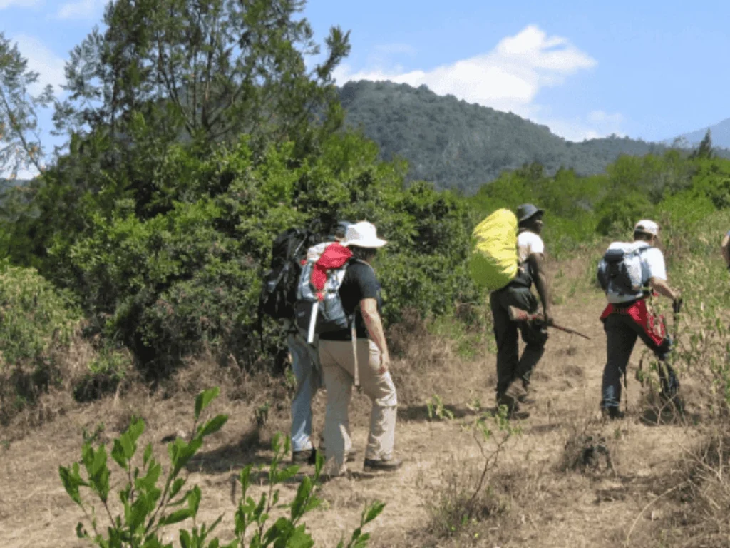 Picture 4 Days Mount Meru Treck 02