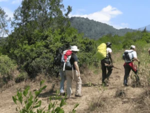 Picture 4 Days Mount Meru Treck 02