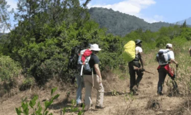 Picture 4 Days Mount Meru Treck 02