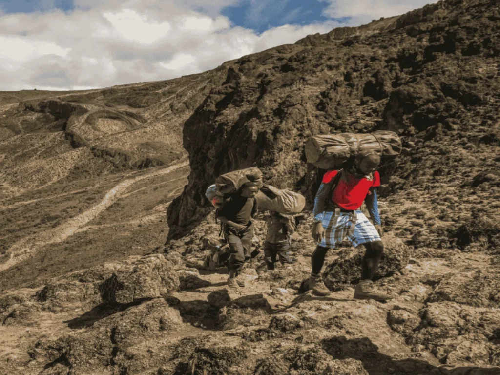 Picture 8 Days Kilimanjaro Lemosho Route