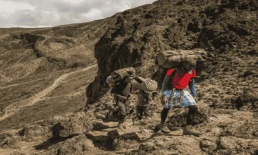 Picture 8 Days Kilimanjaro Lemosho Route