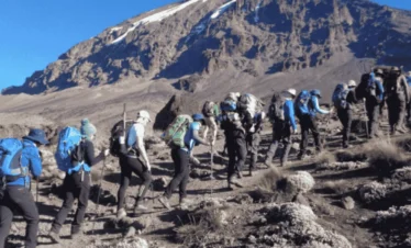 Picture 8 Days Kilimanjaro Lemosho Route 03