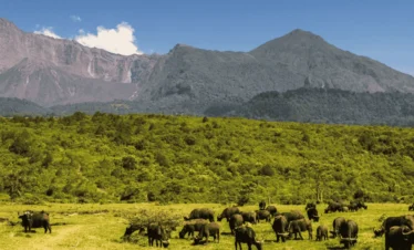 Picture Daytrip Arusha NP 02