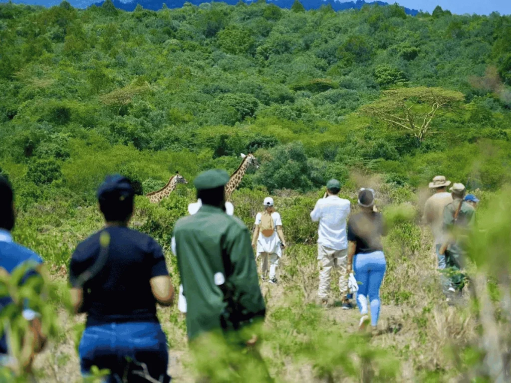 Picture Destination Nairobi National Park Kenya