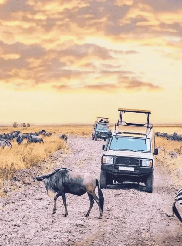 Picture Destination Serengeti National Park