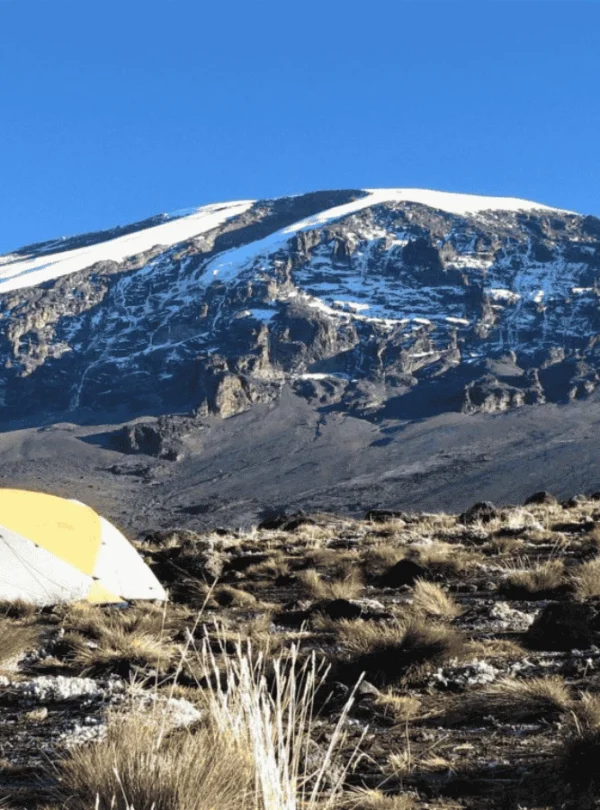Picture Kilimanjaro Machame Route 02