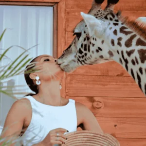 Pickture Serval Wildlife day trip. A woman lovingly kisses the nose of a giraffe.