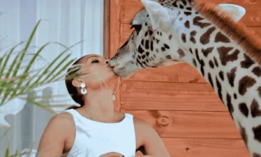 Pickture Serval Wildlife day trip. A woman lovingly kisses the nose of a giraffe.