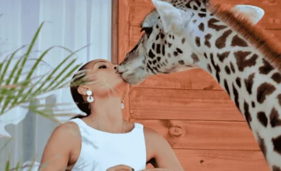 Pickture Serval Wildlife day trip. A woman lovingly kisses the nose of a giraffe.