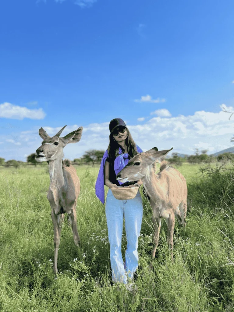 Picture 1-Day Trip to Serval Wildlife 03