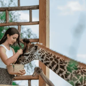 Picture 1-Day Trip to Serval Wildlife 05