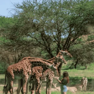 Picture 1-Day Trip to Serval Wildlife 06