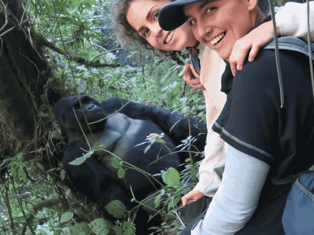 Picture 13 Days Classic Uganda Primates Tour uganda primate safari tour 01